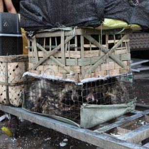 také skončí na talíři, Čína