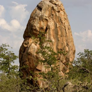 Jako vejce obřího ptáka