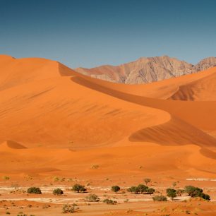 Sytě oranžové písečné duny, charakteristické pro jižní část pouště Namib, foto: Šimon Athaj Řeřucha, Namibie