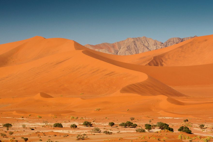 Sytě oranžové písečné duny, charakteristické pro jižní část pouště Namib, foto: Šimon Athaj Řeřucha, Namibie