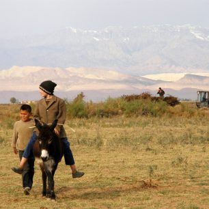 Zasněžené hory Bajsuntau, v pozadí odvoz sklizené bavlny, provincie Surchundarya, Uzbekistán