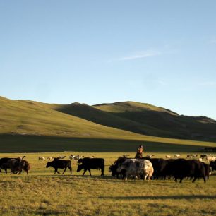 Ve stepích, Mongolsko