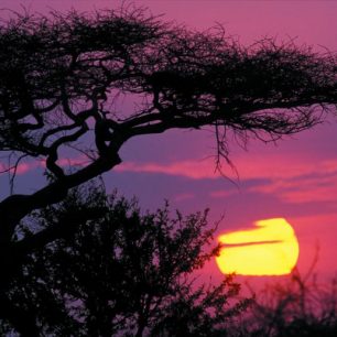 Magické východy slunce nad nedozírnými pláněmi Serengeti, Tanzánie