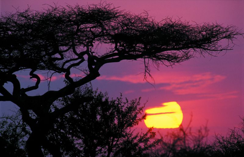 Magické východy slunce nad nedozírnými pláněmi Serengeti, Tanzánie