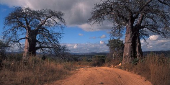 Hakuna Matata aneb putování po Keni, Tanzánii a Zanzibaru &#8211; 3. díl