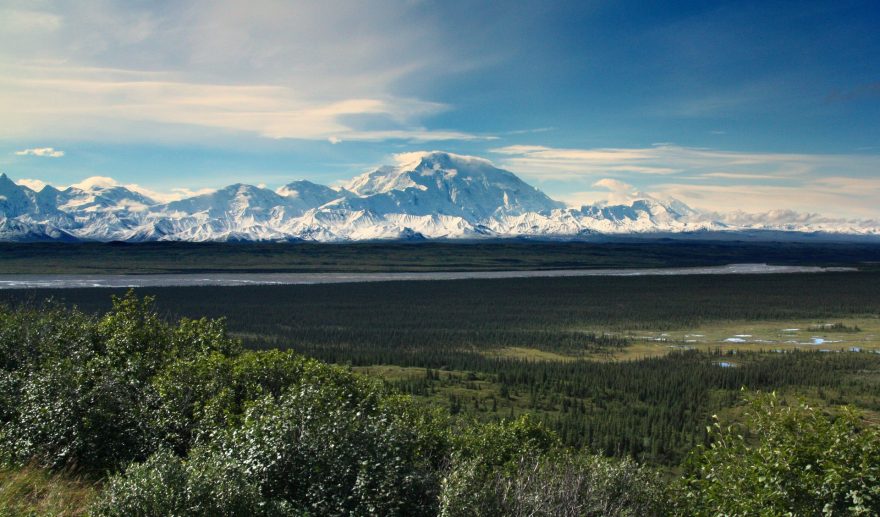 Národní park Denali skrývá nejvyšší horu Severní Ameriky - Mc. Kinley.