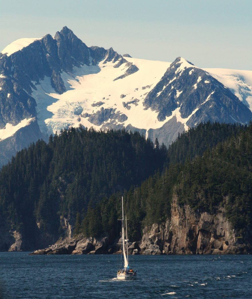 V pobřežním městečku Seward si platíme výlet lodí, doufajíce, že potkáme velryby a další mořskou faunu.