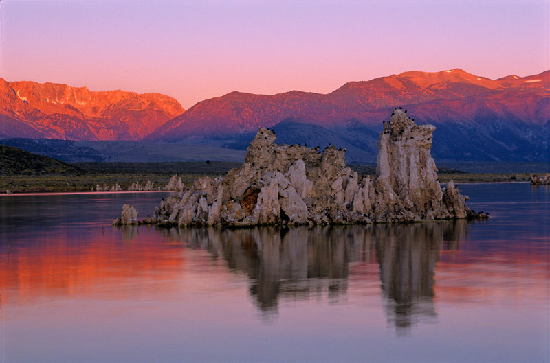 Mohutné pohoří zadržující vláhu, vysoká nadmořská výška, velké výkyvy teplot, podvodní prameny nasycené minerály a vysoký obsah soli ve vodě vykouzlily krajinu plnou kontrastů.