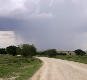 V dálce nad pouští se občas zatáhnou mraky a dá se dou deště. Bouřka asi kralovala nad oblastí kolem kempu Nossob.