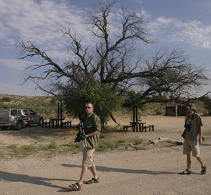 Picnic site, který dostal jméno "Dikbaardskolk" podle blízkého napajedla. Místo, kde můžete na vlastní riziko vystoupit z vozu a protáhnout se. I kolem situ ale byly lví stopy.