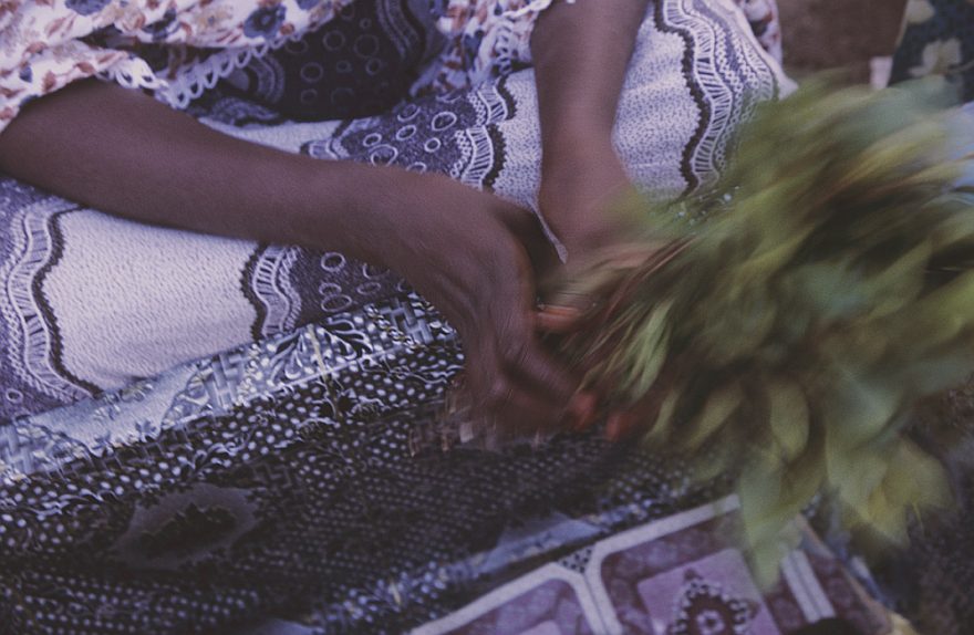 Africká droga Khat, Somálsko