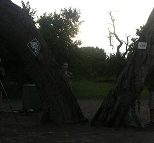 Kolem campsitu courá slon a kluci si dělají obrázky.