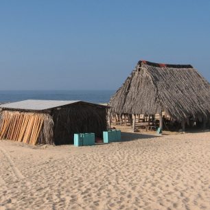 Campanento de tortugas en Colola