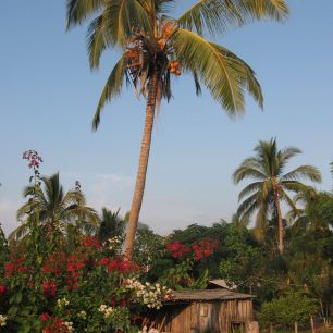Vesnické příbytky Mexičanů