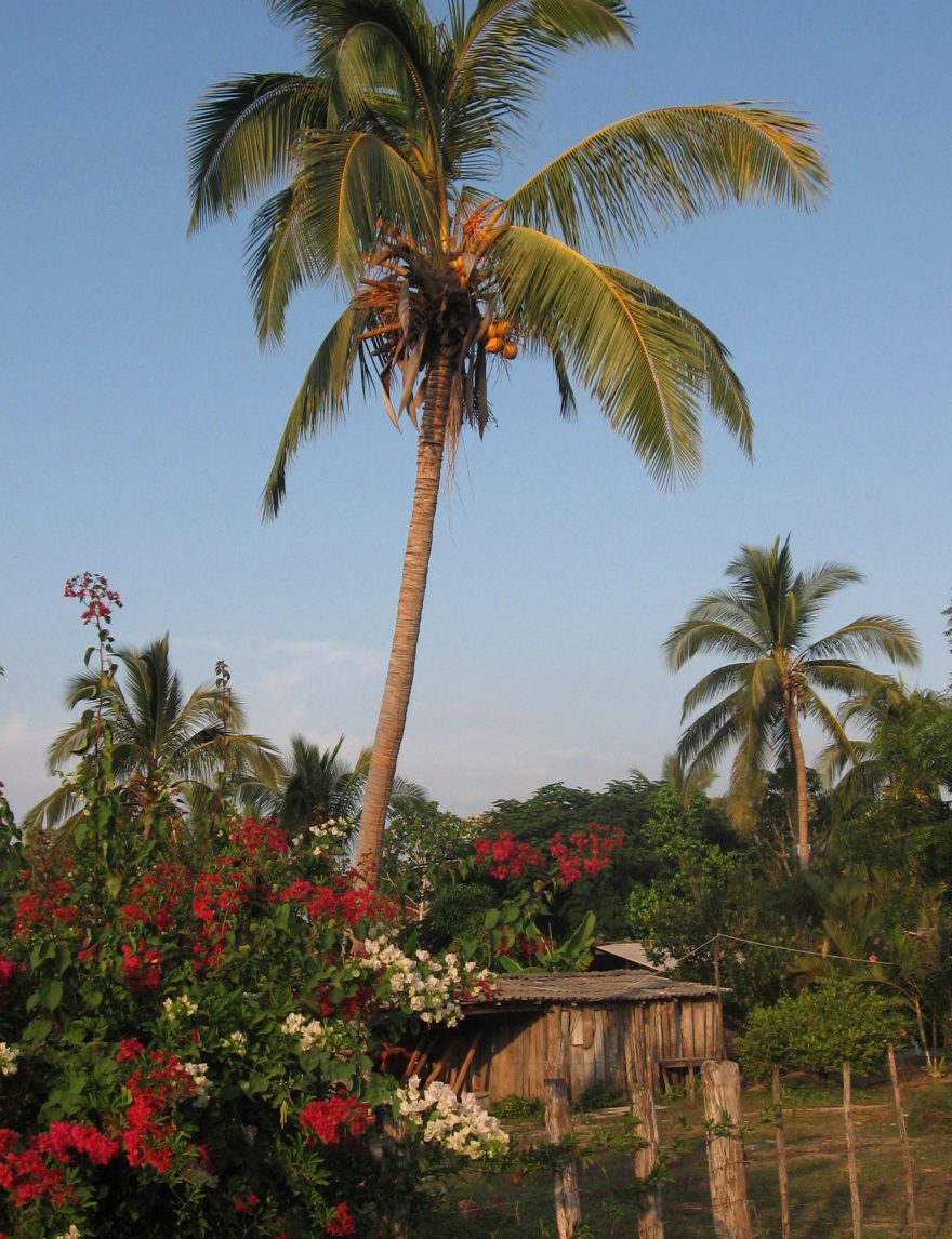 Vesnické příbytky Mexičanů