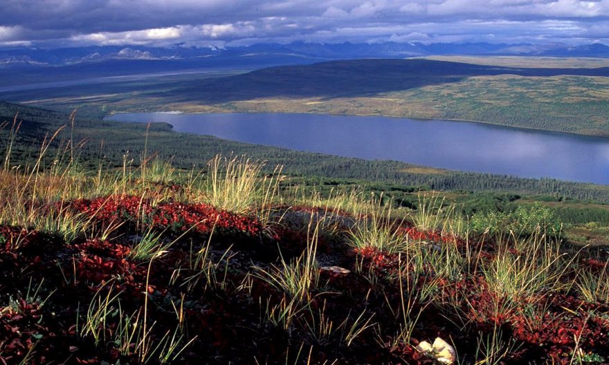 Místo s příchutí nekonečných dálek