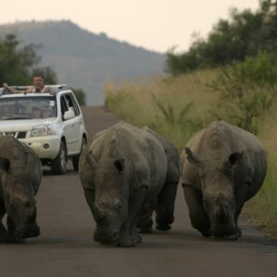 Bodyguardi s dlouhými rohy.