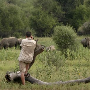 Ondráš mezi nosorožci. Vypadá trochu jako pastevec nosorek.