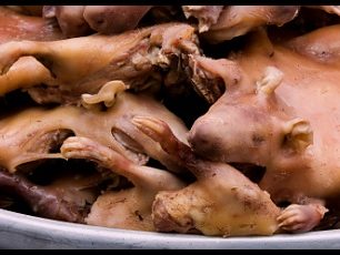 Prex hnus na talíři