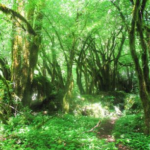 Kaňon Mrtvice, Černá Hora