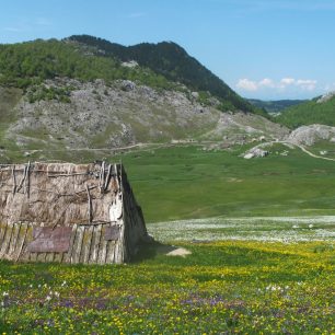 Rozkvetlá Moračke planine, Černá Hora
