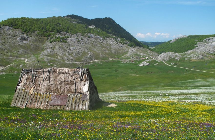 Rozkvetlá Moračke planine, Černá Hora