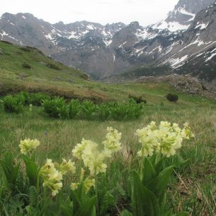 Jarní Maglić, Bosna a Hercegovina
