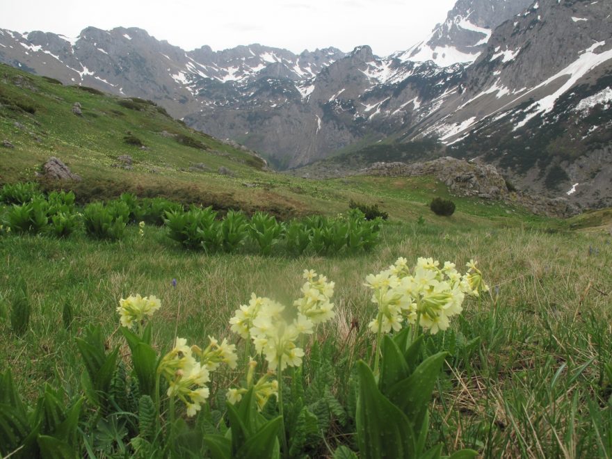 Jarní Maglić, Bosna a Hercegovina