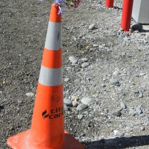 Z každého dopravního patníku čouhají květiny