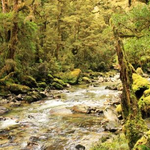 Údolí řeky Spey, Nový Zéland