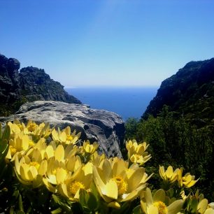 Cape Town, pobřeží