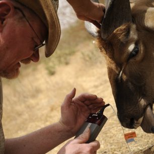 Oximetr monitoruje zdravotní stav