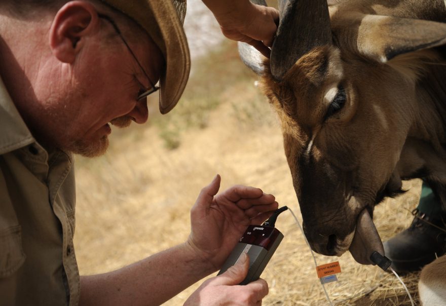 Oximetr monitoruje zdravotní stav