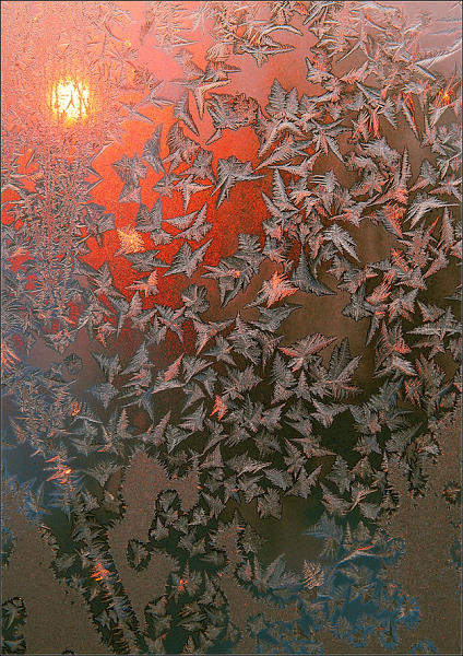 Zima, foto: Tomislav Pivečka, 3. místo