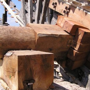 Norie můžete obdivovat zejména v Hamá