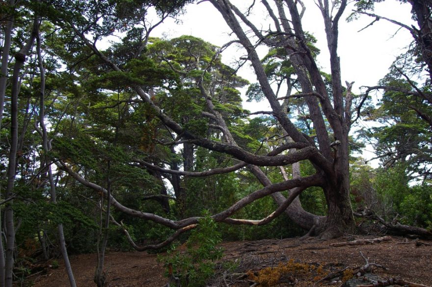 Národní park Tierra del Fuego