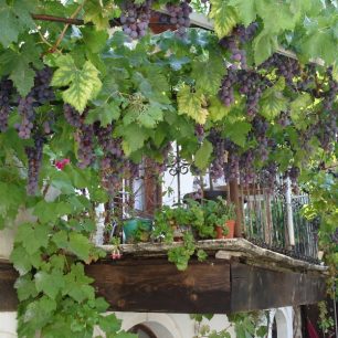 Zátiší v Melniku, Bulharsko