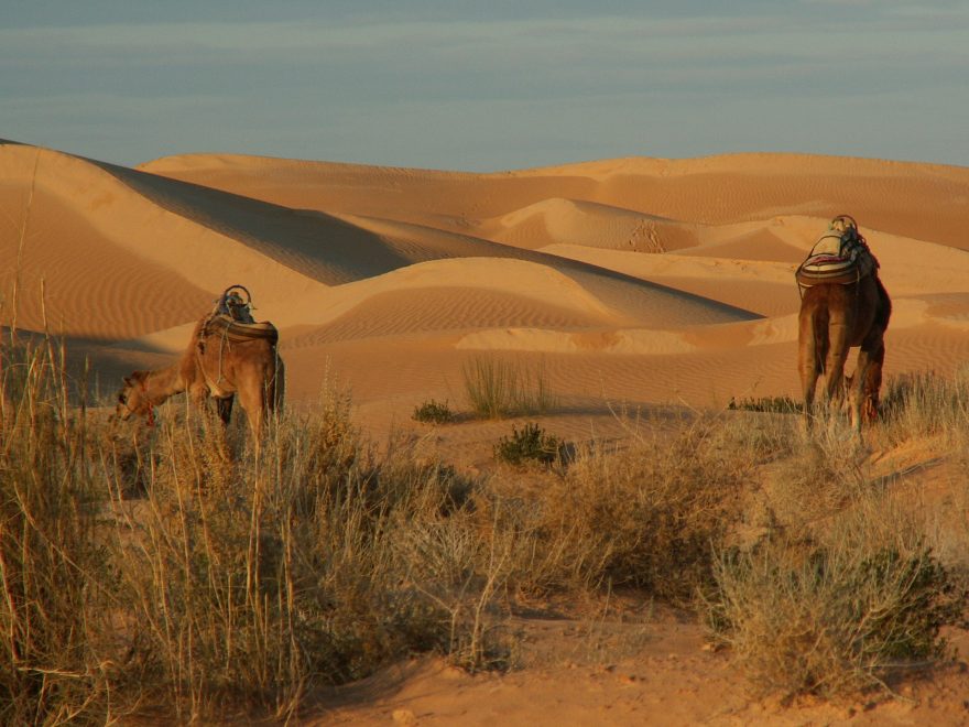 Večerní odpočinek, Tunisko