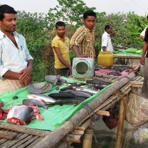 Rybáři prodávají své úlovky, Indie