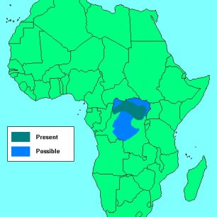 Mapa výskytu okapi