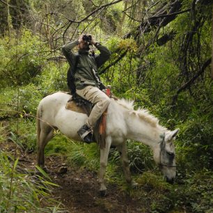 Ačkoli „hypoornitologie“ vyhlíží jako svůdná metoda průzkumu ptáků, má i svá úskalí.