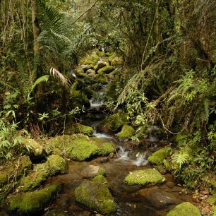 Kde neexistuje pěšina, je nejlépe se držet koryta potoka.