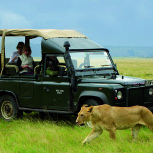 Zvířata můžete pozorovat z bezprostřední blízkosti z auta. Maasai Mara, Keňa