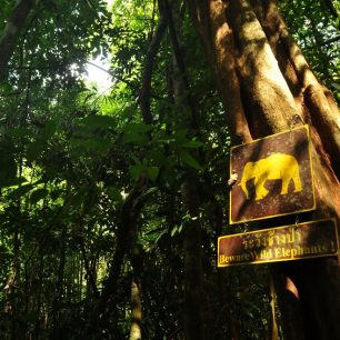 NP Khao Sok - lokalita s pijavicemi