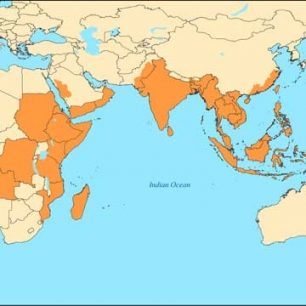 Výskyt horečky dengue ve světě, zdroj: CDC