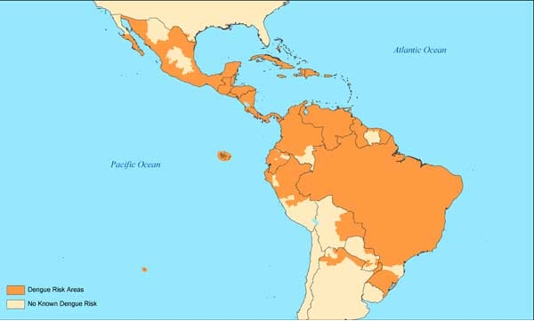 Výskyt horečky dengue ve světě, zdroj: CDC