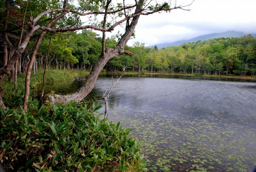 Jedno z pěti jezer Širetoko