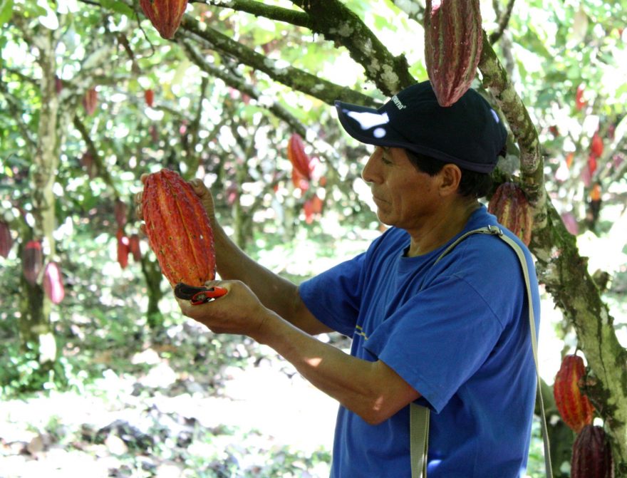 Juan Francisco Enriquez Rodriguez (52 let) je členem fairtradového družstva.