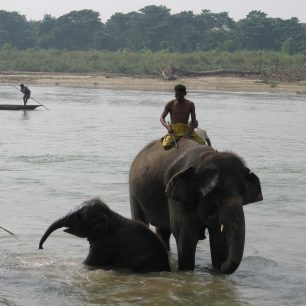 vesničané při práci v řece, Chitwan, Nepál