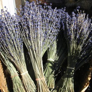 Nezapomeňte si přivést levanduli